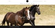 Rachel Stringfellow website design
